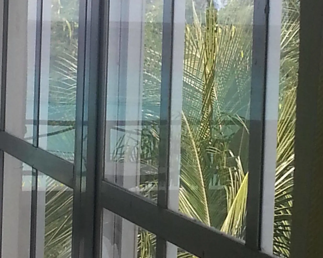 Coral Lane Beach Apartments Derricks Barbados