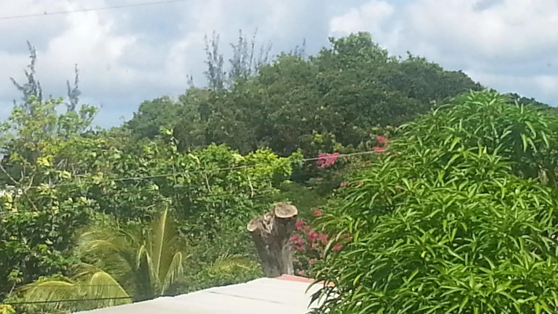 Coral Lane Beach Apartments Derricks Hotel