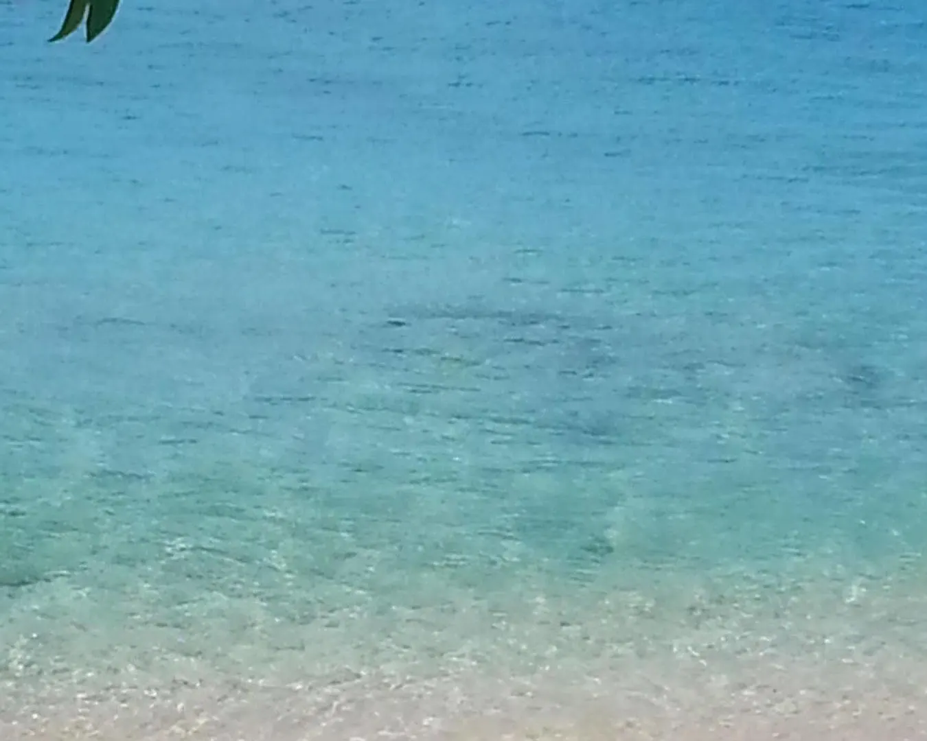 Coral Lane Beach Apartments Derricks