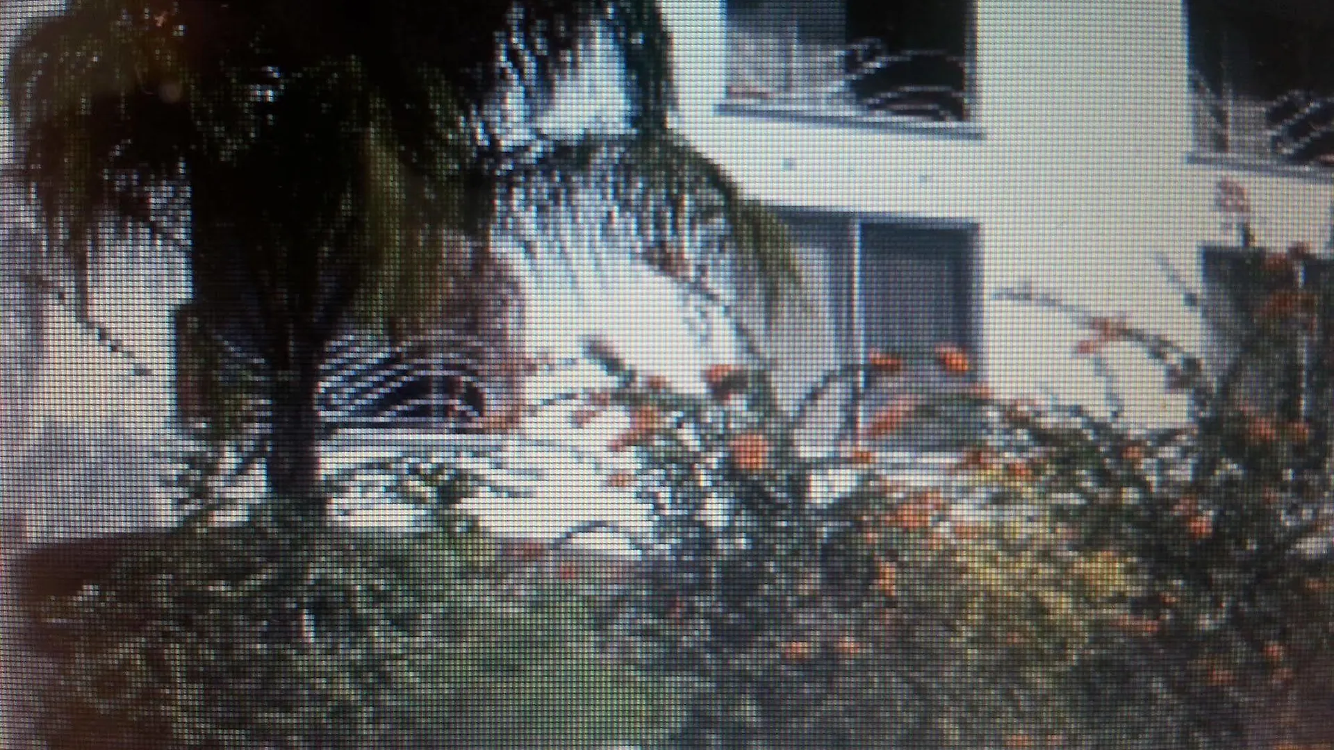 Coral Lane Beach Apartments Derricks Hotel